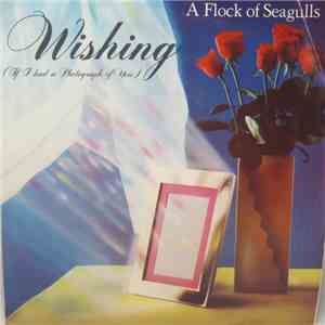 A Flock Of Seagulls - Wishing (If I Had A Photograph Of You) download free