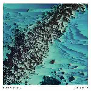 Brainwaltzera - Aescoba EP download free