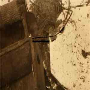 Chlorine Gargle - Give Us Death Before Drought download free