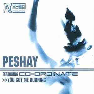 Peshay - You Got Me Burning / Fuzion download free