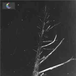 Peter Broderick - (Colours Of The Night) Satellite download free