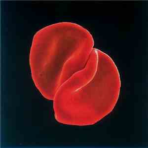 Peter Gabriel - Scratch My Back download free