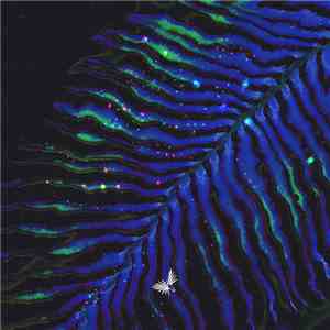 Rapossa - Mirage EP download free