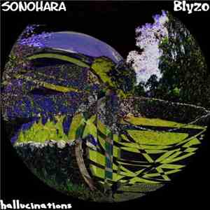 Sonohara, Blyzo - Hallucinations download free