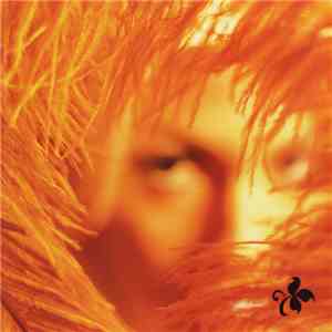 Stone Temple Pilots - Shangri-La Dee Da download free