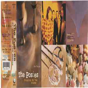 The Posies - Frosting On The Beater download free
