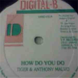 Tiger & Anthony Malvo - How You Do download free
