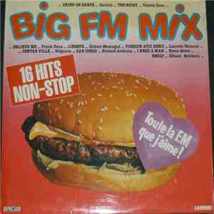 Various - Big FM Mix download free